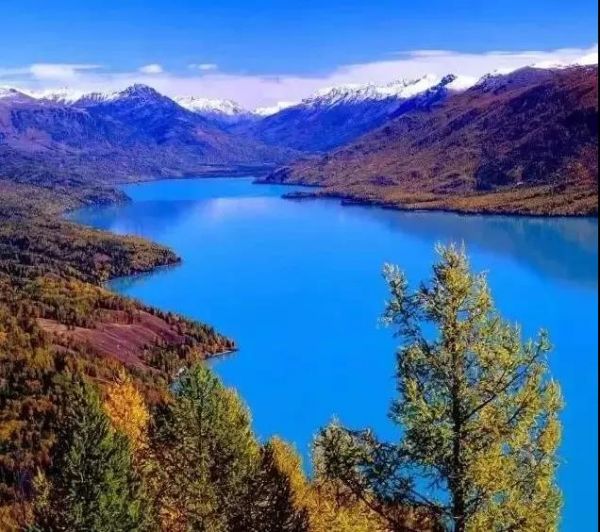 是什么讓你愛上新疆