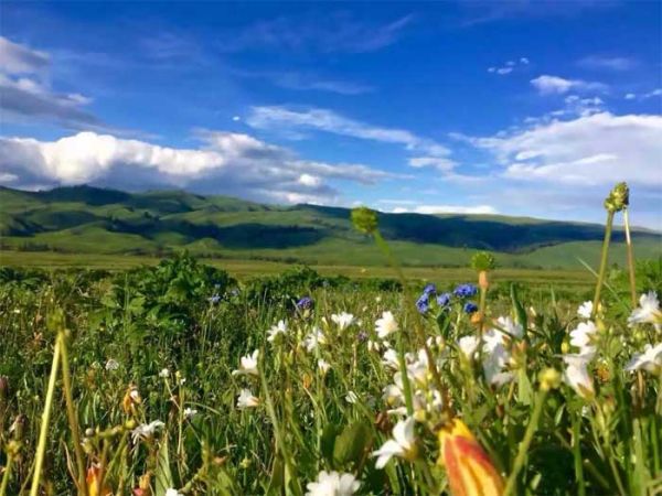 邂逅伊犁：喀拉峻、昭蘇夏塔雪山草原夢(mèng)幻之旅
