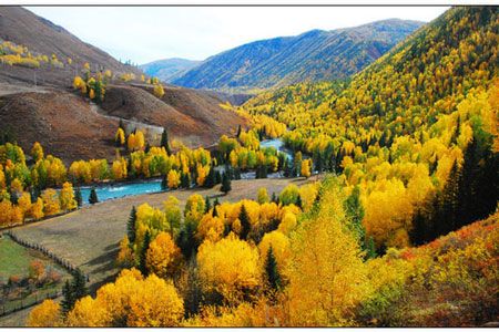 九月傳奇3：喀納斯、禾木、可可托海、五彩灣、胡楊七日行