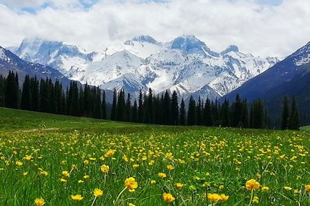 驚奇體驗(yàn)：伊犁河谷、喀納斯湖、可可托海8日自由行