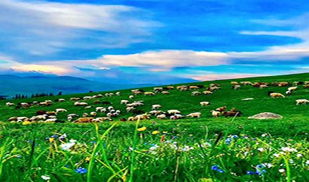 環(huán)游喀伊：喀納斯、禾木、那拉提、賽里木湖、巴音布魯克、獨(dú)庫公路 9日游